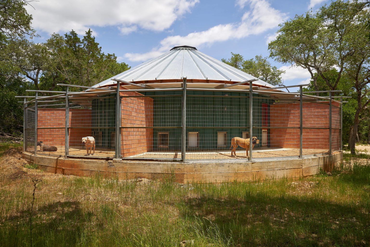 This Modern Hill Country Dog Ranch is the Future of Kennels Austin Home